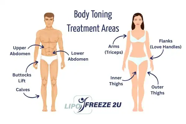Graphic showing where you can have Body toning Treatment Bridgend on your body